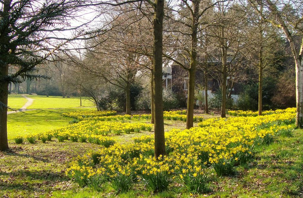 Frühstückspension Vivere Ad Parcum - 4*
